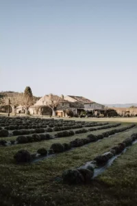Lire la suite à propos de l’article Les plus beaux lieux pour un mariage en Provence