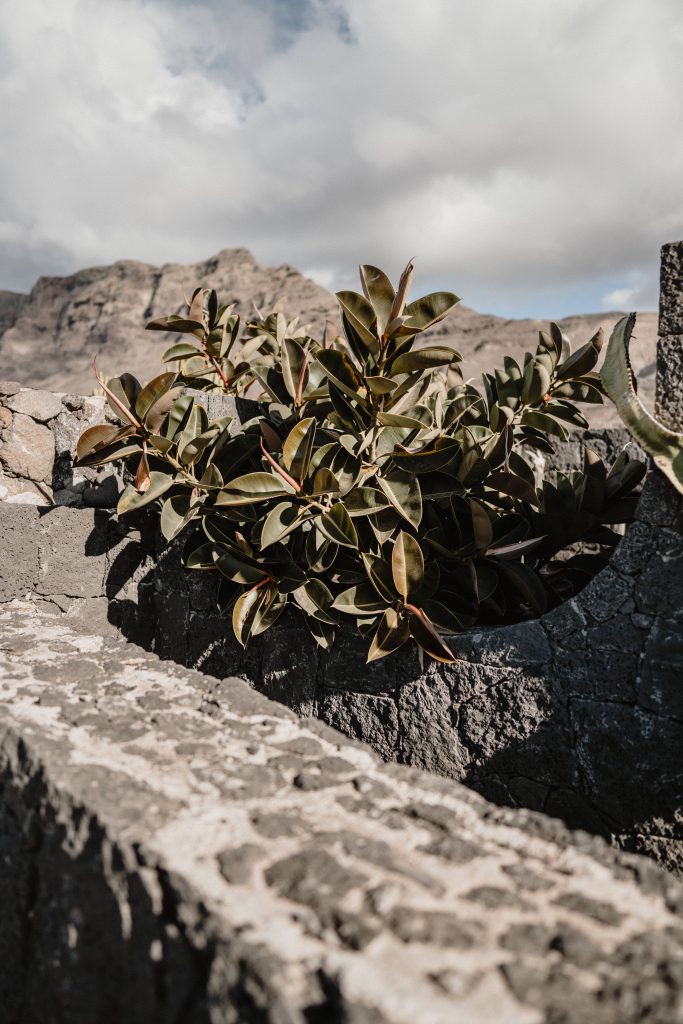 lanzarote