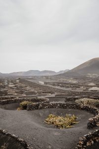 Lire la suite à propos de l’article 10 expériences inoubliables à vivre à Lanzarote (et une façon inattendue de s’y dire oui)