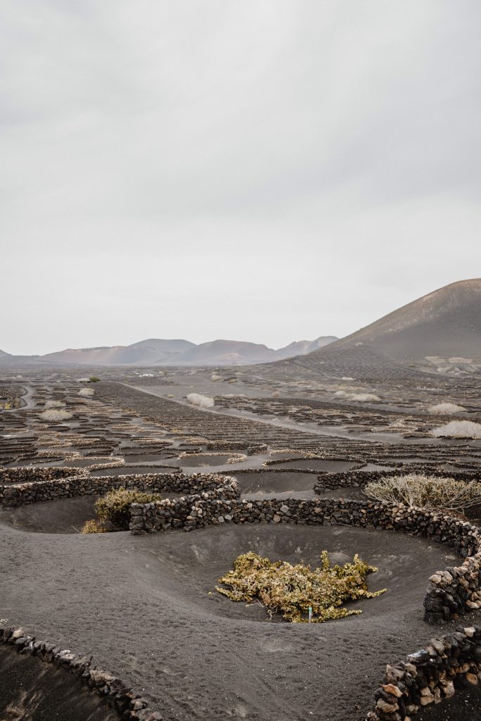 lanzarote