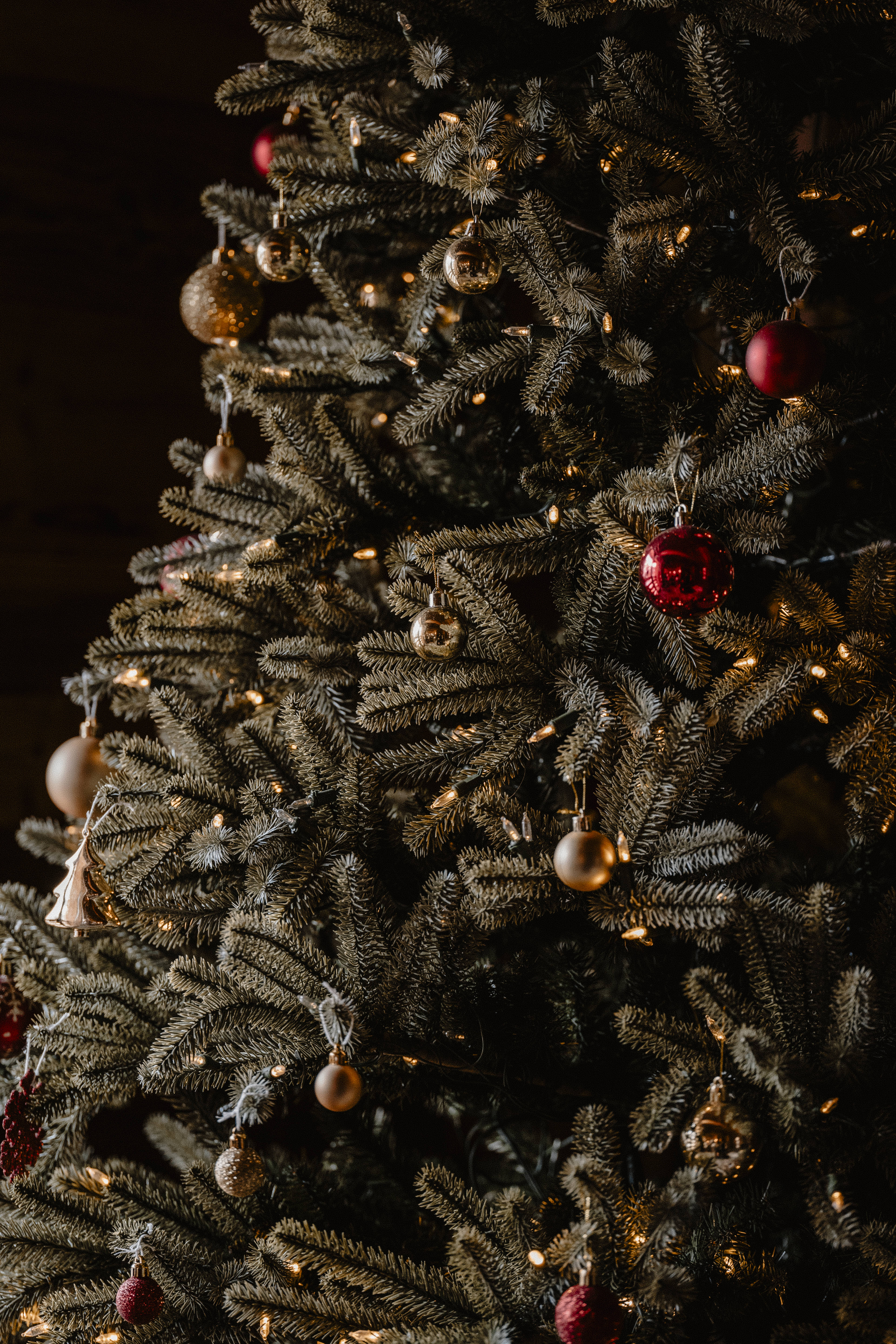 mariage hiver photographe mariage nomade isola 2000 french riviera cote d'azur nice alpes-maritimes cannes menton monaco