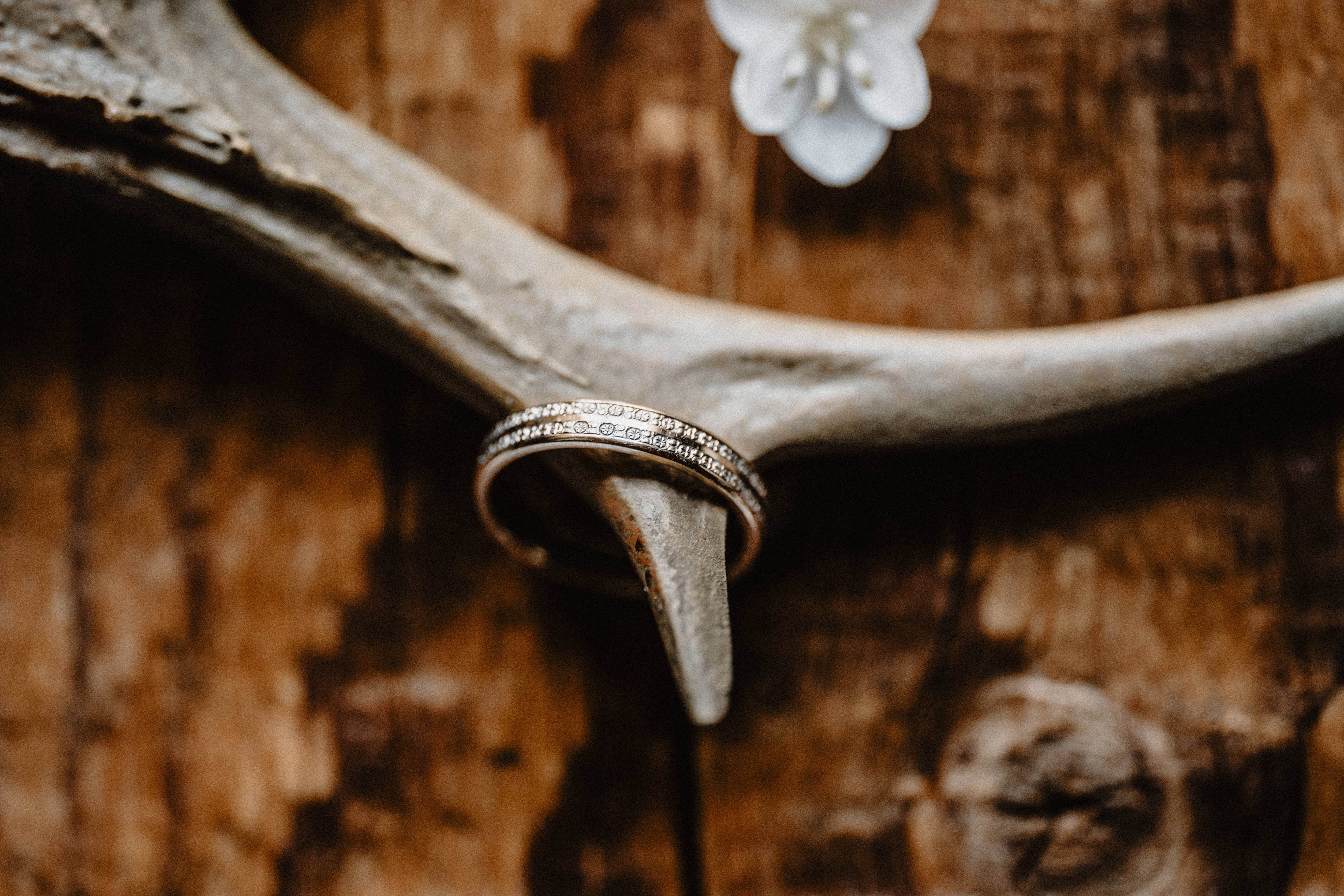 mariage hiver photographe mariage nomade isola 2000 french riviera cote d'azur nice alpes-maritimes cannes menton monaco