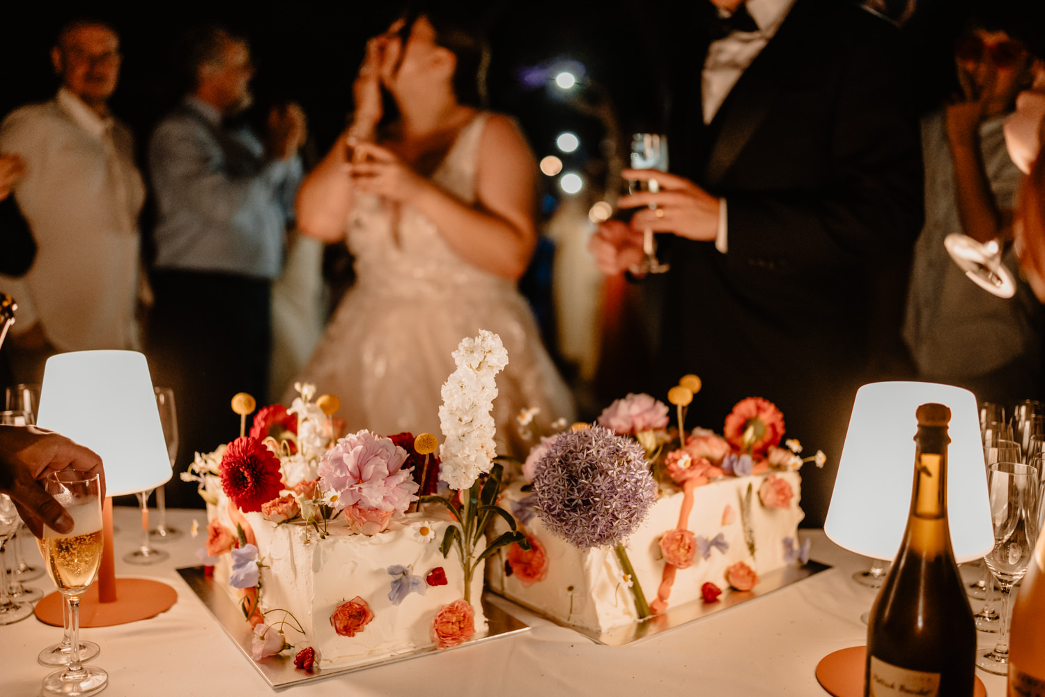 domaine de quervalat eguilles photographe mariage provence