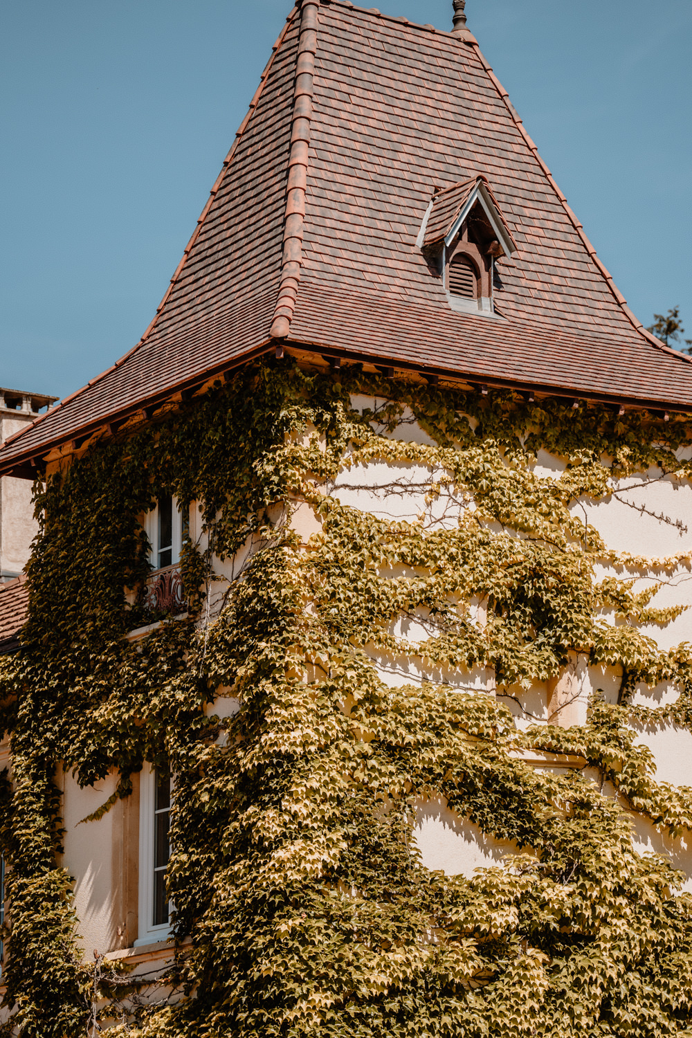 photographe mariage loire cordelle domaine des grands cèdres DMK Destination Art