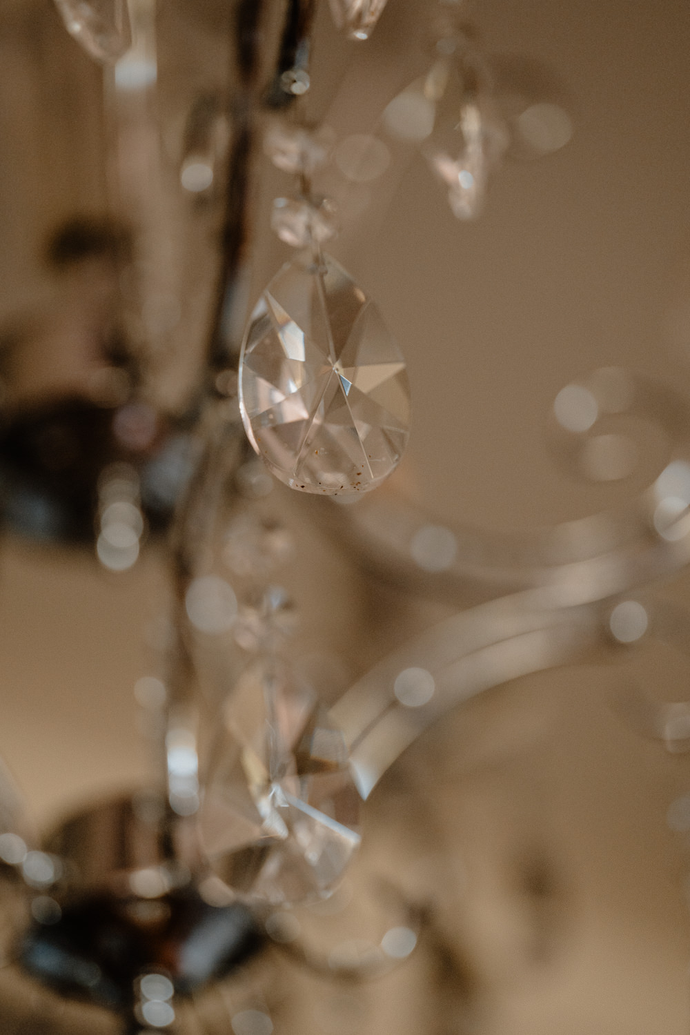 photographe mariage loire cordelle domaine des grands cèdres DMK Destination Art